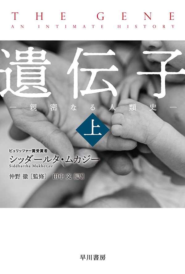 遺伝子‐親密なる人類史‐（上・下）