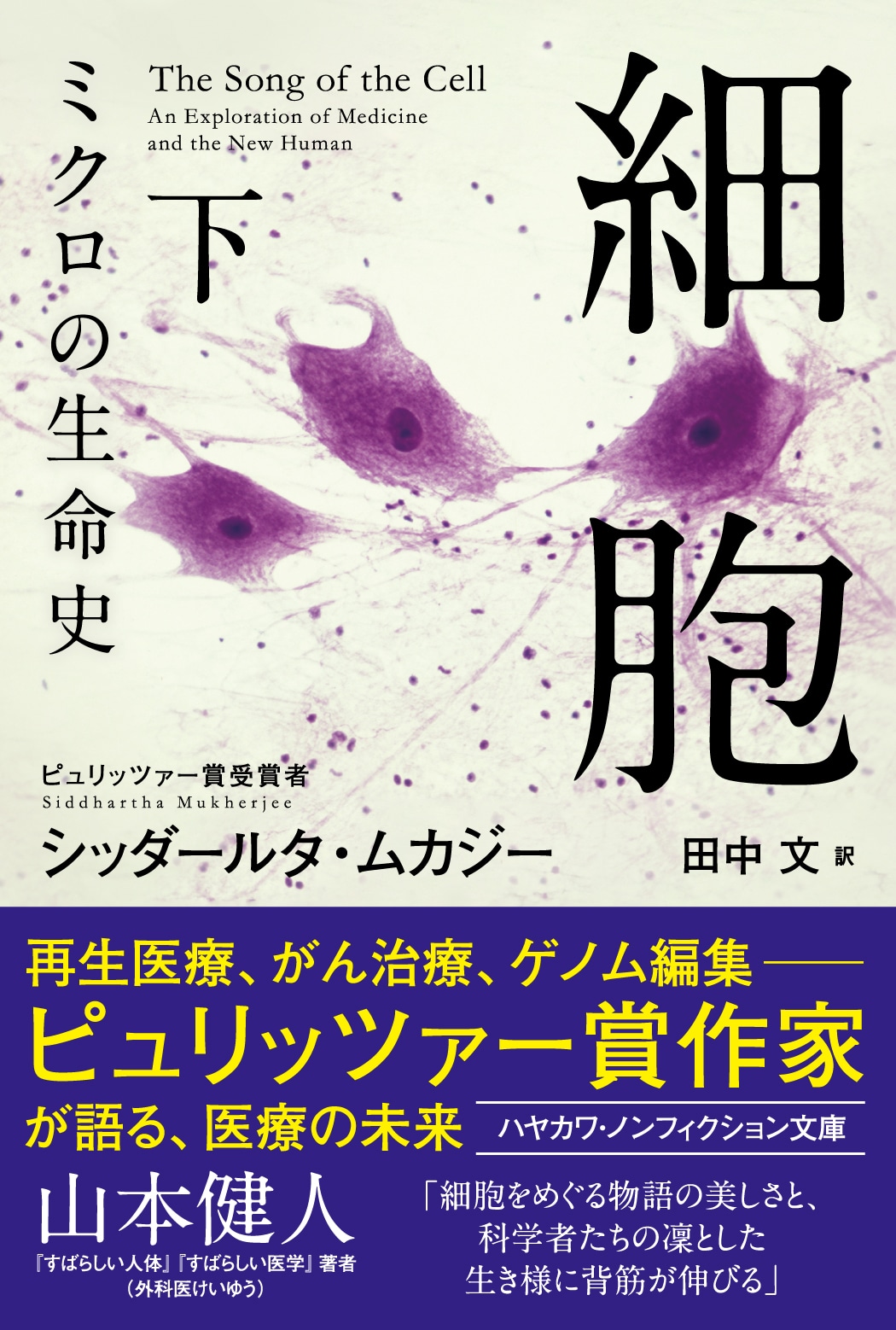 細胞―ミクロの生命史―　下