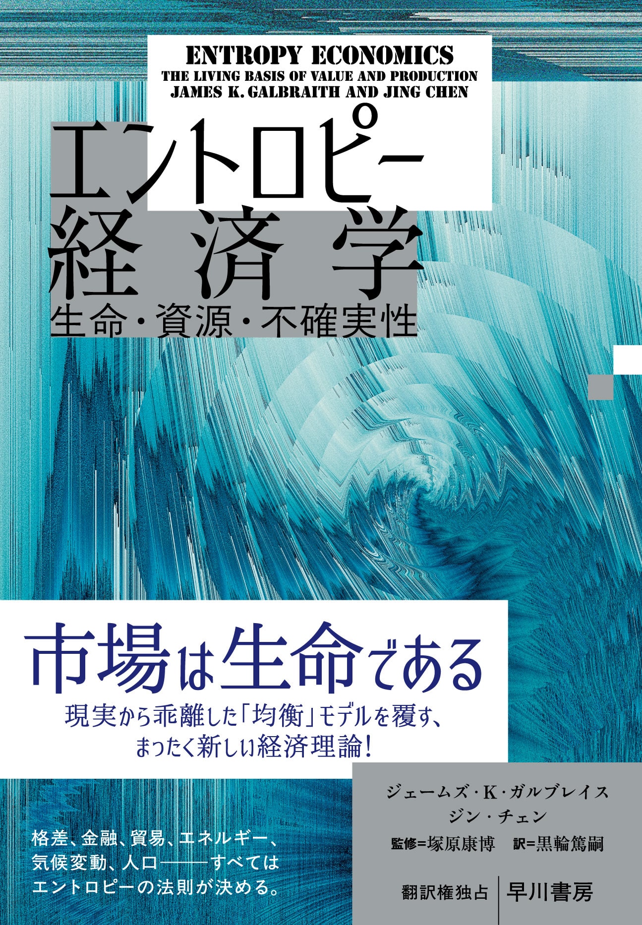 エントロピー経済学　―生命・資源・不確実性―