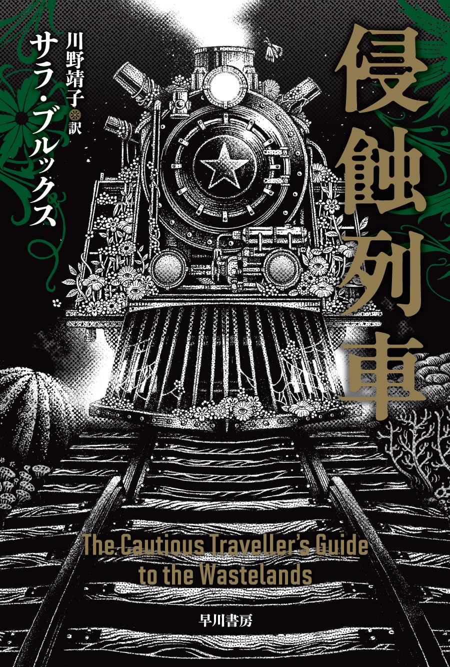 侵蝕列車
