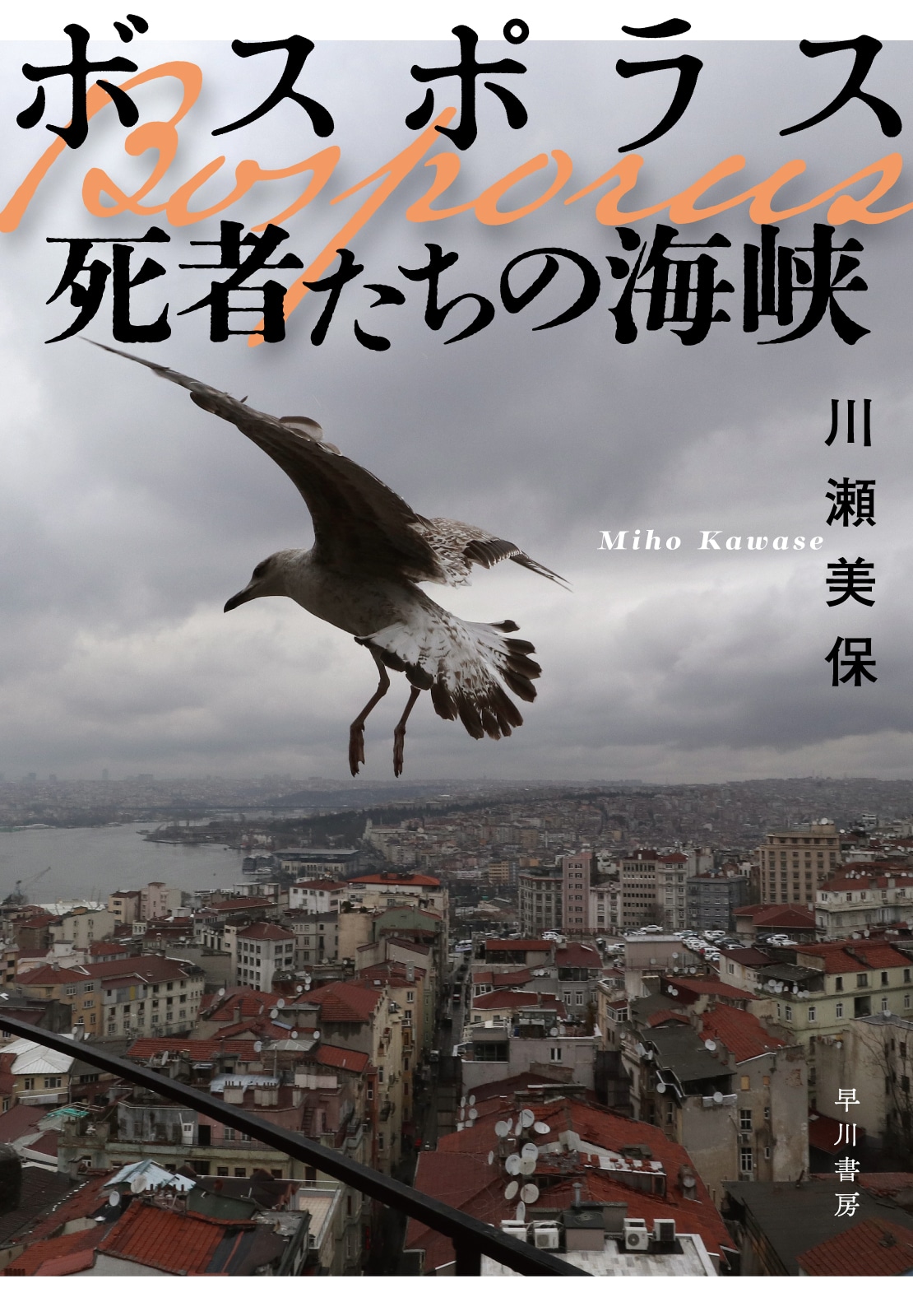 ボスポラス　死者たちの海峡