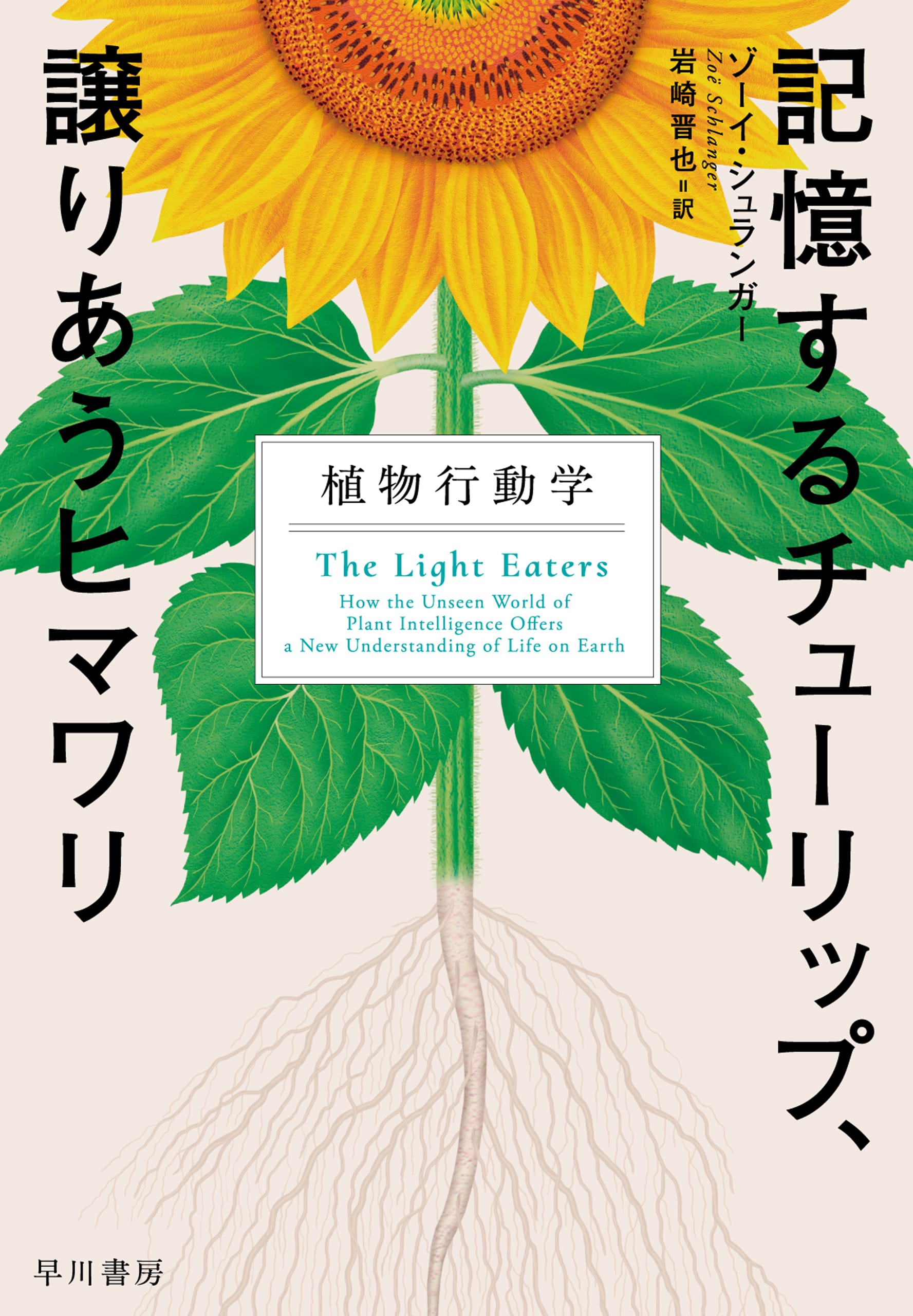 記憶するチューリップ、譲りあうヒマワリ　―植物行動学―
