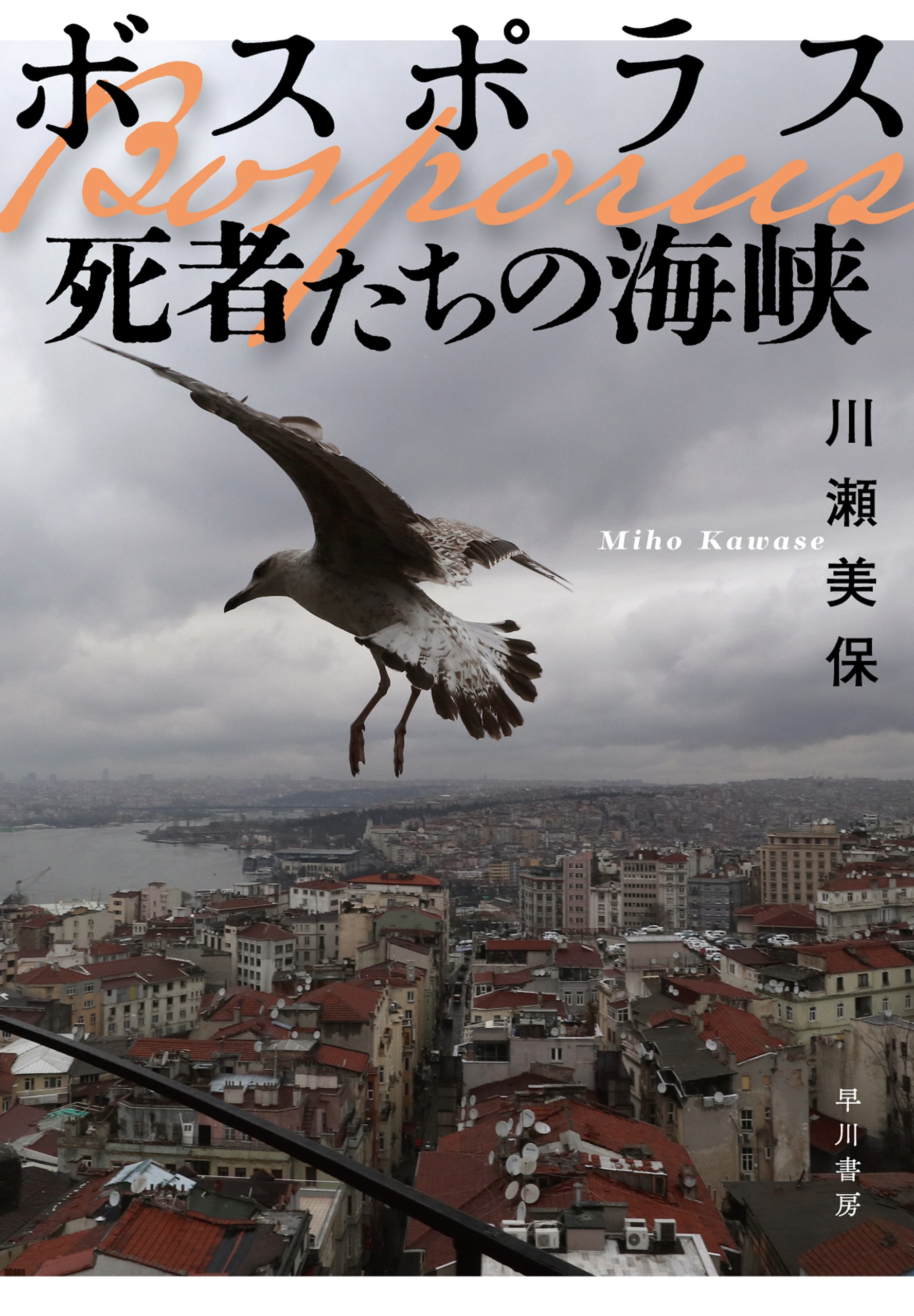 ボスポラス　死者たちの海峡