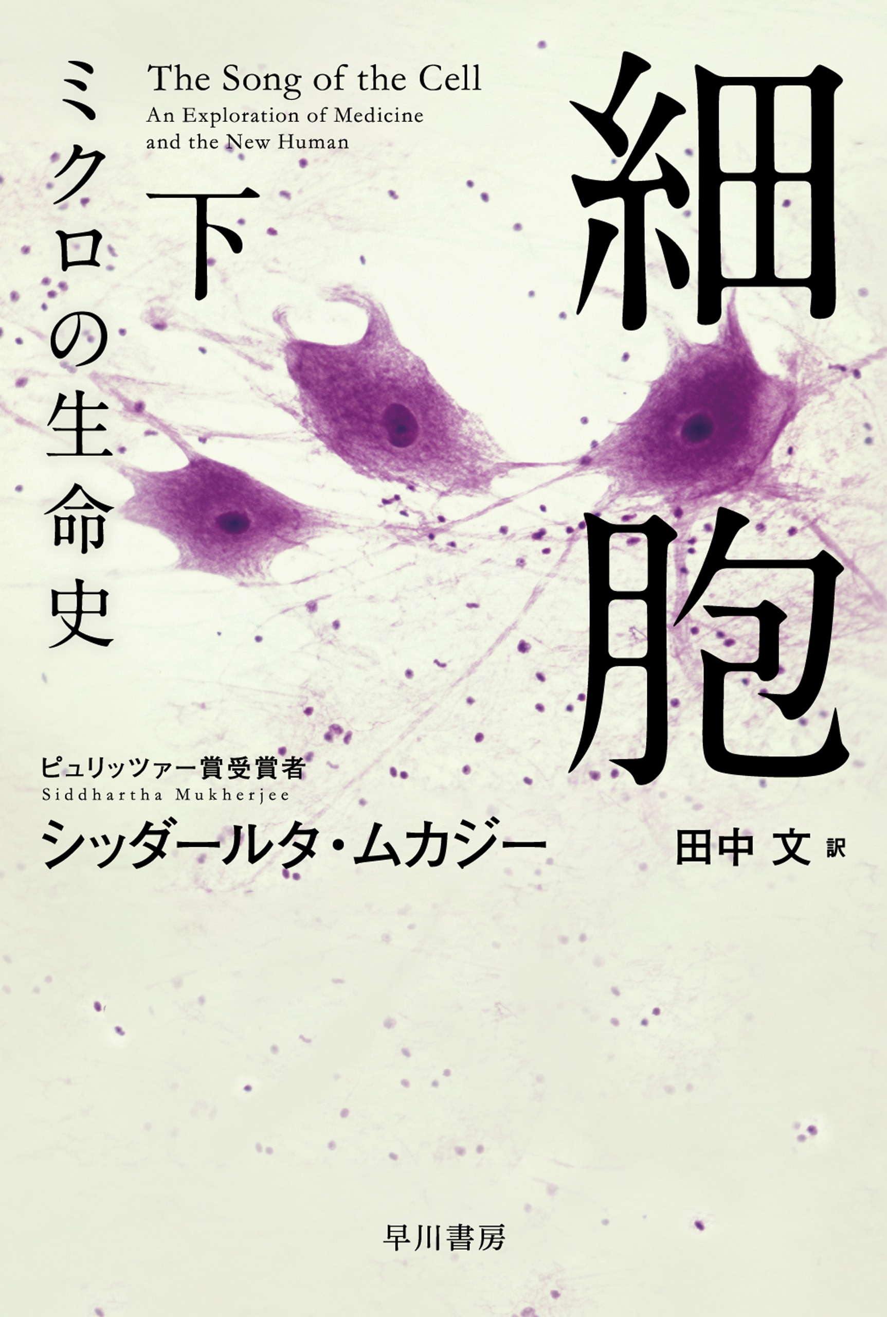 細胞―ミクロの生命史―　下
